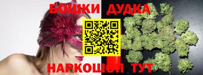 Альфа ПВП Камень-на-Оби