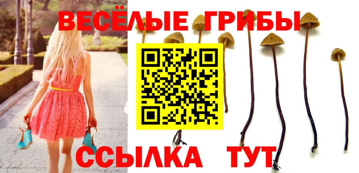 Галлюциногенные грибы Magic Shrooms Выборг
